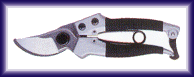 6.gif (2816 bytes)
